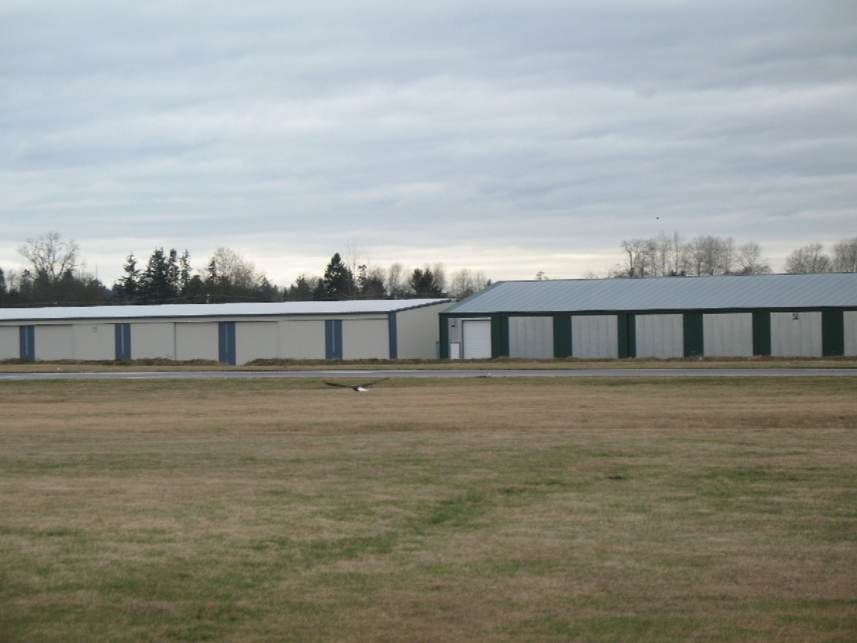 Eagles soar at Langley Airport just off the Langley Flying School ramp.